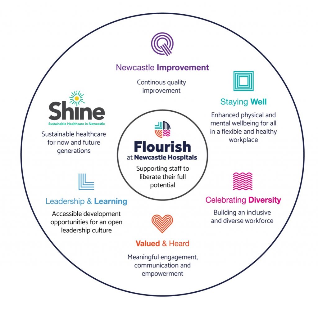 An infographic of the different departments of Flourish - Newcastle improvement, Staying Well, Shine, Leadership and Learning, Valued and Heard, Celebrating Diversity